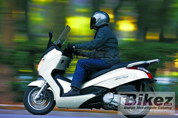 2010 Honda S-Wing 125 photo